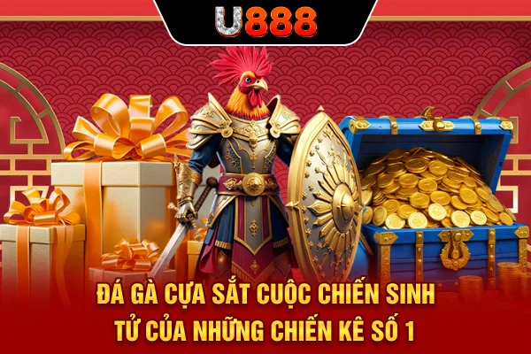 Đá Gà Cựa Sắt - Cuộc Chiến Sinh Tử Của Những Chiến Kê Số 1