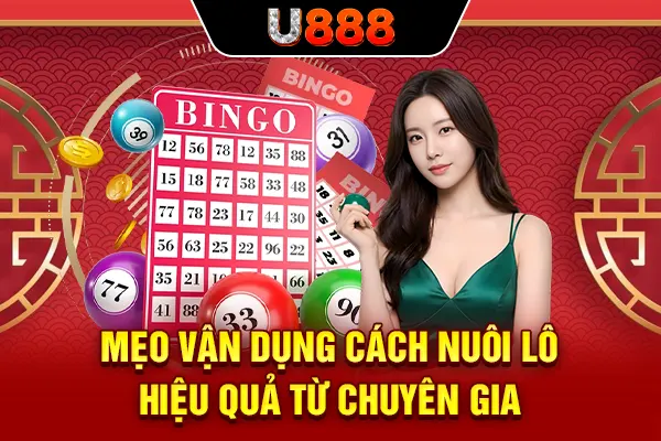 Mẹo vận dụng cách nuôi lô hiệu quả từ chuyên gia