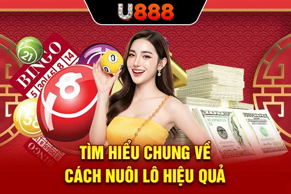 Tìm hiểu chung về cách nuôi lô hiệu quả